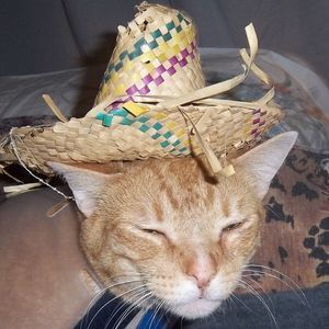 Meet your Posher, Becky